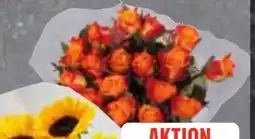 Edeka Frischemarkt Sonnenblumen Angebot