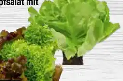 Edeka Edeka Herzstücke Ballensalat Mix Angebot