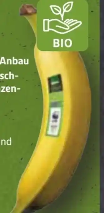 Edeka Edeka Bio Bio-Bananen Angebot