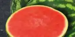 Edeka Wassermelonen Dumara Angebot