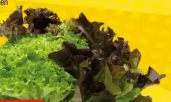 EDEKA Bandelt Ballensalat Trio Mix Angebot
