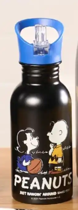 REWE Peanuts Trinkflasche Edelstahl Angebot