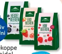 Budni Schneekoppe Bio Himbeeren Angebot