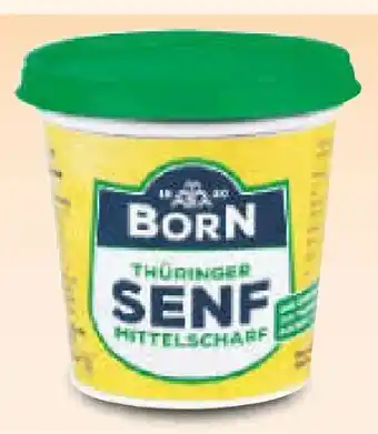 Netto Marken-Discount Born Thüringer Senf Mittelscharf Angebot