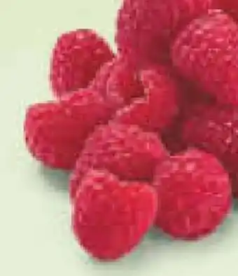 Netto Marken-Discount Himbeeren Angebot