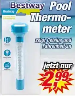 Posten Börse Bestway Pool Thermometer Angebot