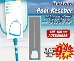 Posten Börse Bestway Pool-Kescher Angebot