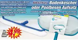 Posten Börse Bestway Bodenkescher oder Poolbesen Aufsatz Angebot
