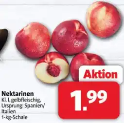 Markant Nektarinen Angebot