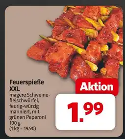 Markant Feuerspieße xxl Angebot