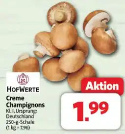 Markant Hofwerte creme champignons Angebot