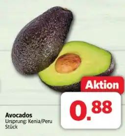 Markant Avocados Angebot