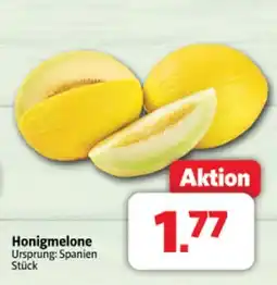 Markant Honigmelone Angebot