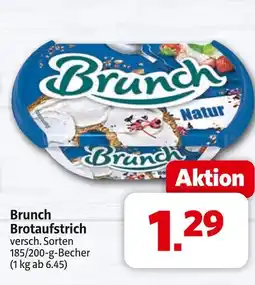 Markant Brunch brotaufstrich Angebot