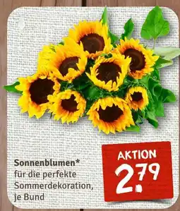 nahkauf Sonnenblumen Angebot