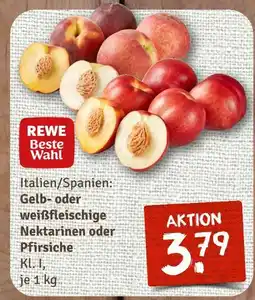 nahkauf Rewe beste wahl gelb- oder weißfleischige nektarinen oder pfirsiche Angebot