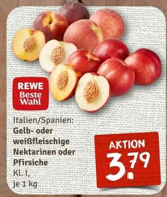 nahkauf Rewe beste wahl gelb- oder weißfleischige nektarinen oder pfirsiche Angebot