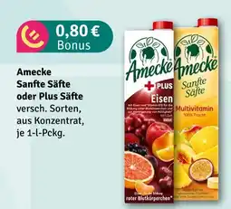 nahkauf Amecke sanfte säfte Angebot