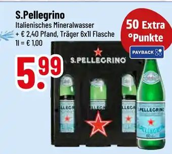 trinkgut S.pellegrino italienisches mineralwasser Angebot