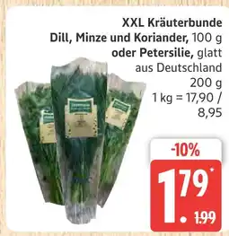 Marktkauf Xxl kräuterbunde dill, minze und koriander Angebot