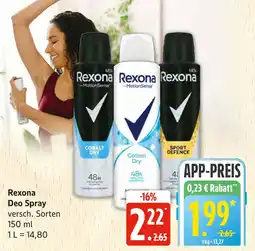 Marktkauf Rexona cobalt dry deo spray Angebot