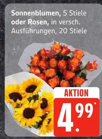 Edeka Sonnenblumen Angebot