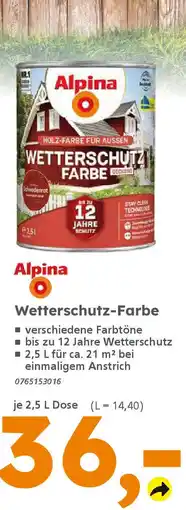 Globus Baumarkt Alpina Wetterschutz-Farbe Angebot