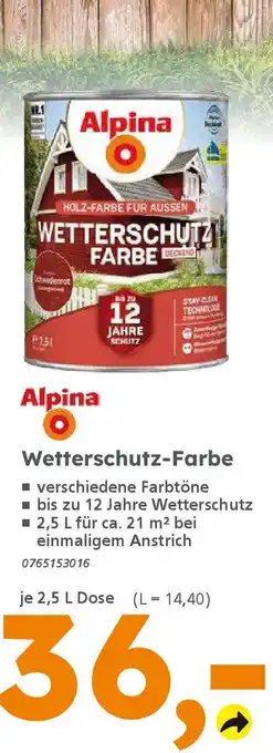 Globus Baumarkt Alpina Wetterschutz-Farbe Angebot