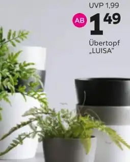 Mömax Übertopf „LUISA" Angebot