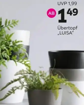 Mömax Übertopf „LUISA" Angebot