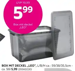 Mömax Box mit deckel „LEO" Angebot