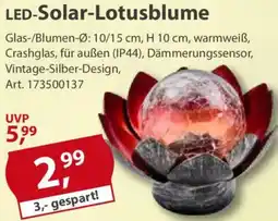 Sonderpreis Baumarkt LED-Solar-Lotusblume Angebot