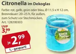 Sonderpreis Baumarkt Citronella im Dekoglas Angebot