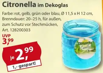 Sonderpreis Baumarkt Citronella im Dekoglas Angebot