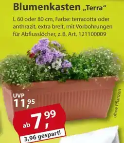 Sonderpreis Baumarkt Blumenkasten „Terra" Angebot