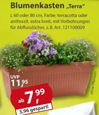 Sonderpreis Baumarkt Blumenkasten „Terra" Angebot