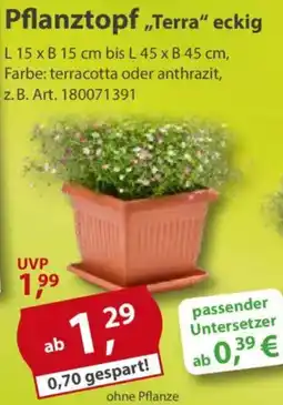 Sonderpreis Baumarkt Pflanztopf „Terra" eckig Angebot