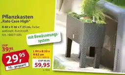 Sonderpreis Baumarkt Pflanzkasten ,,Rato Case High" Angebot
