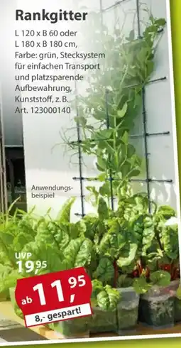 Sonderpreis Baumarkt Rankgitter Angebot