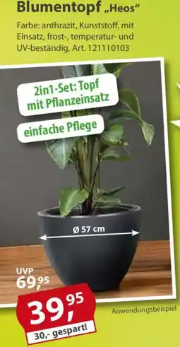 Sonderpreis Baumarkt Blumentopf ,,Heos" Angebot