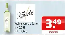 Getränke Oase Blanchet weine Angebot