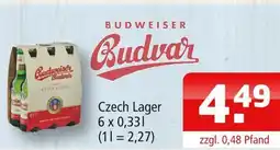 Getränke Oase Budweiser czech lager Angebot