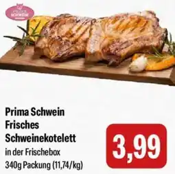 Feneberg Prima Schwein Frisches Schweinekotelett Angebot