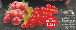 Edeka Deutschland Johannisbeeren oder Stachelbeeren Angebot
