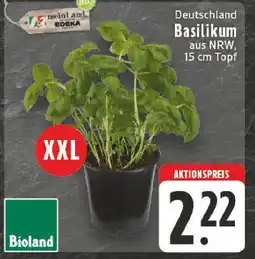 Edeka Deutschland Basilikum Angebot