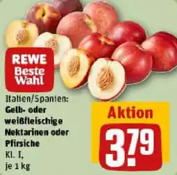 REWE Gelb- oder weißfleischige Nektarinen oder Pfirsiche Angebot