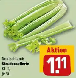 REWE Staudensellerie Angebot