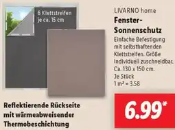 Lidl LIVARNO home Fenster Sonnenschutz Angebot