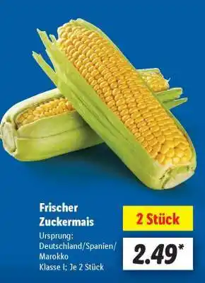 Lidl Frischer Zuckermais Angebot