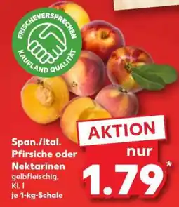 Kaufland Span./ital. Pfirsiche oder Nektarinen Angebot